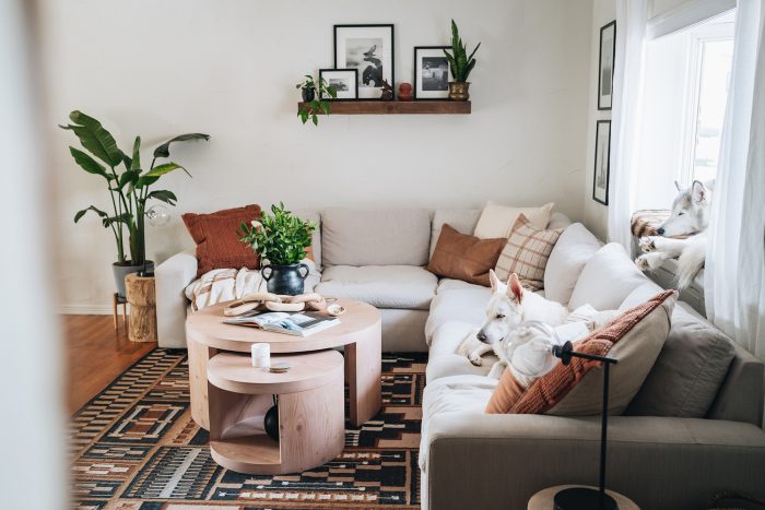 This Cozy, Rustic Living Room Is Fit for an Adventurous Dog Influencer